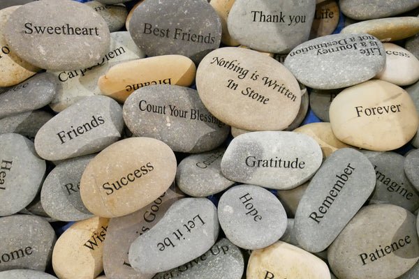 The Incredible Power of Gratitude: How to Change Your Perspective