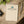 Gratitudist Softcover Journal — Guided Gratitude Notebook with Lotus Design